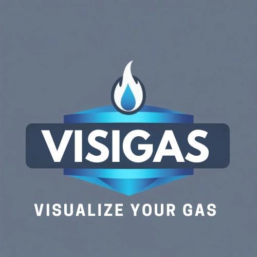 VisiGas logo